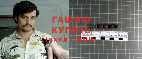 крисы Магас