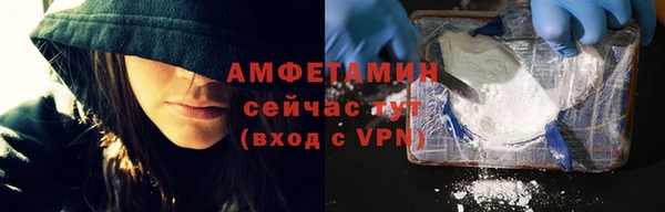 крисы Магас