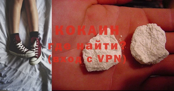 крисы Магас