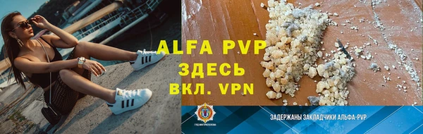 крисы Магас