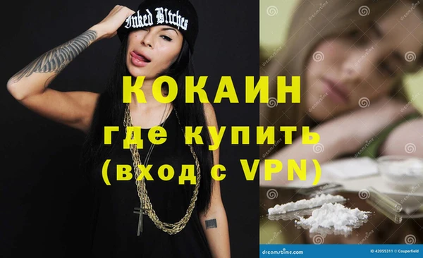 крисы Магас
