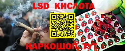 бошки Новозыбков
