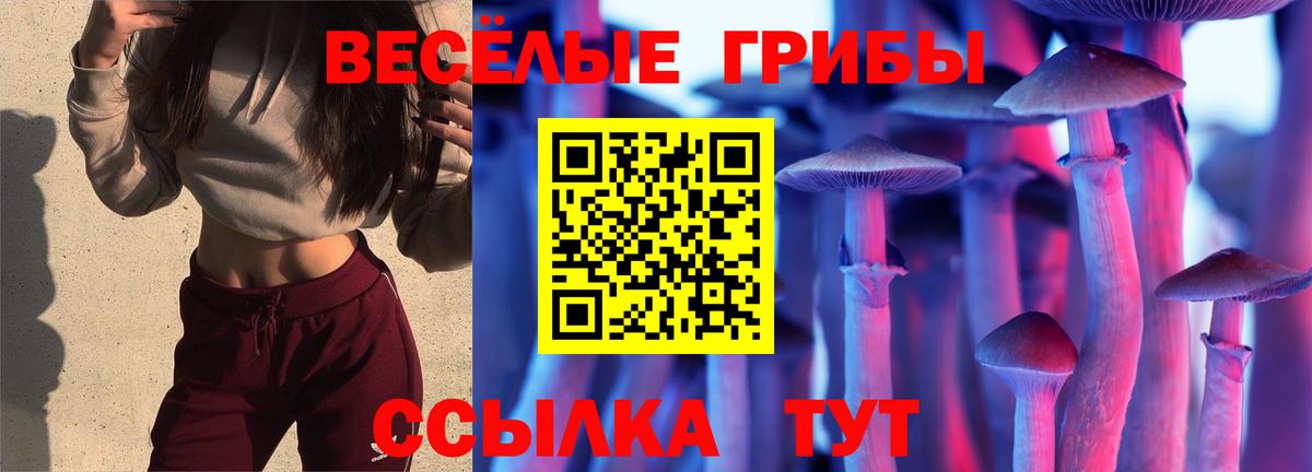 Галлюциногенные грибы MAGIC MUSHROOMS  Вход с VPN  даркнет сайт  Долгопрудный 